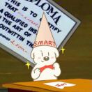 世界探险家CoCo🐾