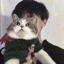 忆
