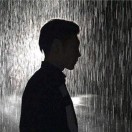 刘先生的头像