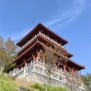 用户26116699的头像-创薯资源