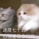 岸芷汀蘭