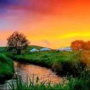 用户33455212的头像 