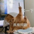 More right的头像-VAM®克苏恩资源社区