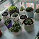 乔浩℡¹⁵⁸³²¹⁶⁷²73