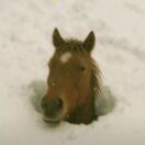 1-VLl的头像-熵减岛