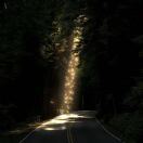 ---------专属分割线---------