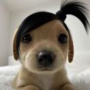 用户91835807的头像-创薯资源