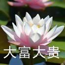 夏夜繁星空的头像-小果迷