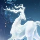 David的头像-秀琴曲谱网