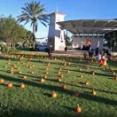 anton的头像-护云帮