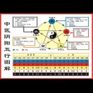 皮皮-痛风俱乐部