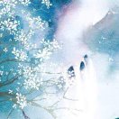 babysbreath