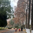 袁丽丽的头像-创薯资源