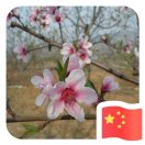 梁先生的头像