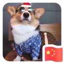 武先生的头像