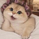 user_tspiqatgi5oxkk87 member profile picture