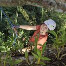 Linda 杨志华-秀琴曲谱网