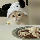 用户24298030的头像 - 校园论坛