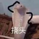 DXM