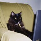 用户19774956的头像-风行者社区