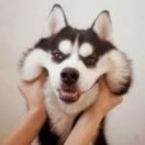 冰辰