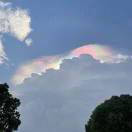 1010957451@-吾爱GM手游