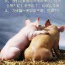 赵先生的头像