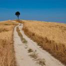 胡慧敏的钢琴谱