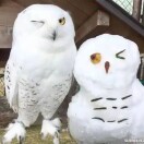 我是谁？的头像-长游分享网