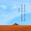 全域投流推广开户运营
