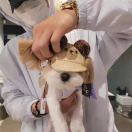 Loeyyyy的头像 - 校园论坛