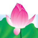 常乐的头像-华闻时空