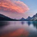 魏新雨所有美好奔你而来