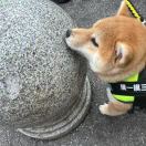 ^_4