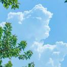 Xuan．的头像-WordPress主题模板-zibll子比主题