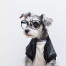 chnrgo's Avatar