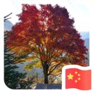 wx_天行健83