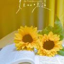 Smiling?店主头像