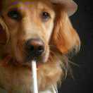 我唱的不够动人