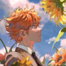 yikang666的头像-易得函