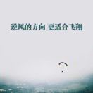 🇺🇸美国副队长