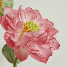 美好。头像