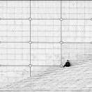 coco的头像-音创社AI SonoCraft丨科技改变未来