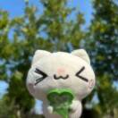 苏芹