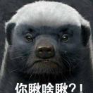 郭女士的头像