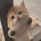 尔尔🍙