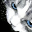 u客直谈实名认证赵智敬