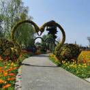 陈洣燕(庚丙丁甲)