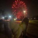 随缘（备注来意）