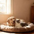 决不迷路的头像-涛哥